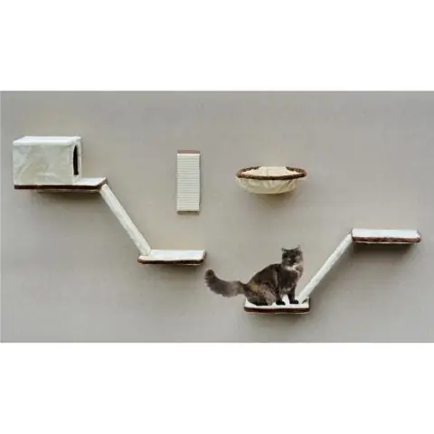 Как сделать кошачий домик из мусорного ведра?