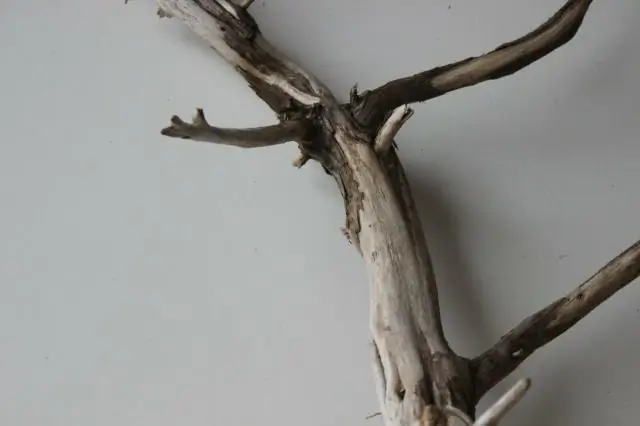 Как продать коряги в Интернете?