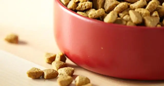 Как я узнаю, одобрен ли мой корм для собак Aafco?