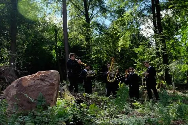 Как избавиться от многоножек и многоножек?