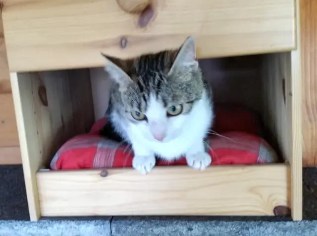 Как достать котенка из глубокой норы?