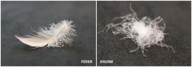 В чем разница между контурными и пуховыми перьями?