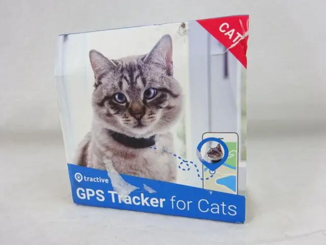 Есть ли у кошек внутренний GPS?