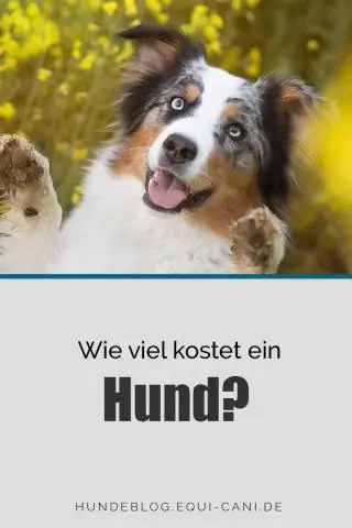 Сколько стоит придурок?