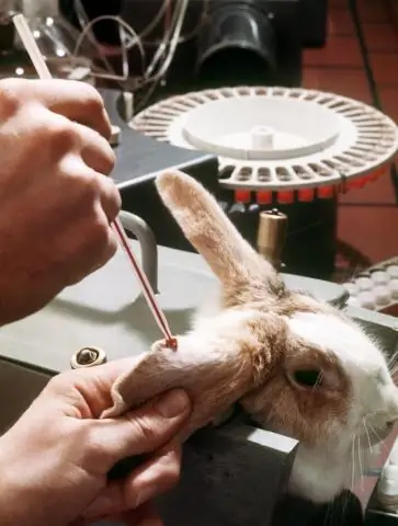 Можно ли использовать вазелин для кроликов?