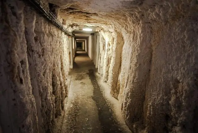 Какая польза от нима для здоровья?