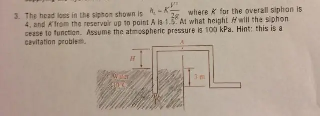Какова функция сифона у морской акулы?
