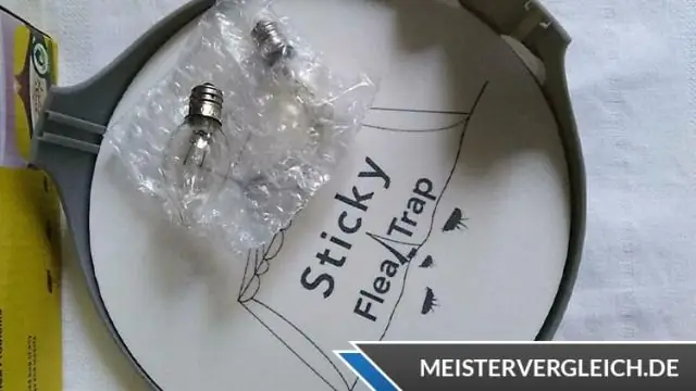 Какой запах привлекает блох?