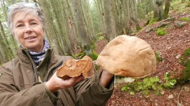 Как установить ловушку в клетке для кроликов?