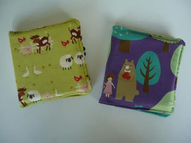 С чего началась кайнозойская эра?