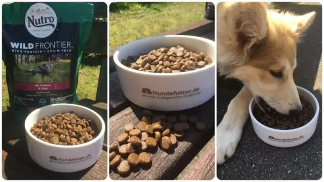 Сколько калорий в корме для собак Nutro?