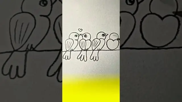 Как описать птицу?