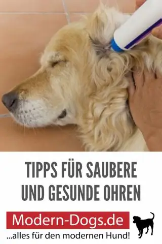 Как избавиться от ферментов мочи собаки?