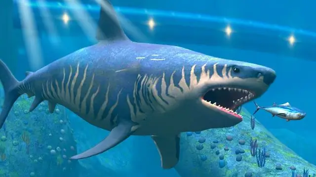 Есть ли в юрском мире мегалодон?