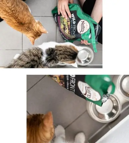 Нутро вреден для кошек?