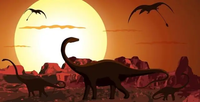 Сколько длится день в симуляторе динозавров?