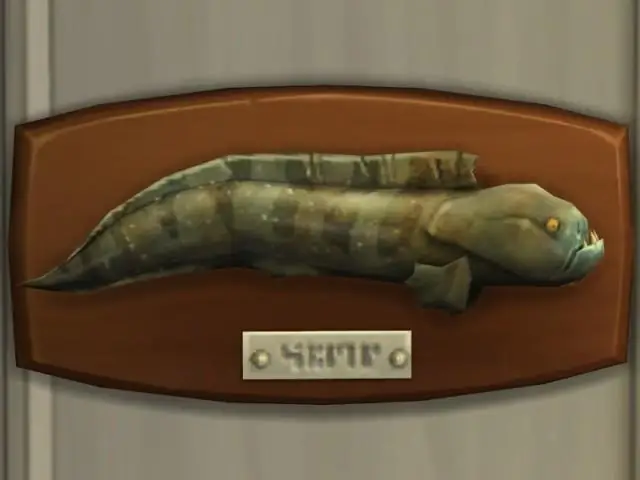 Для чего лягушка использует свои зубы?