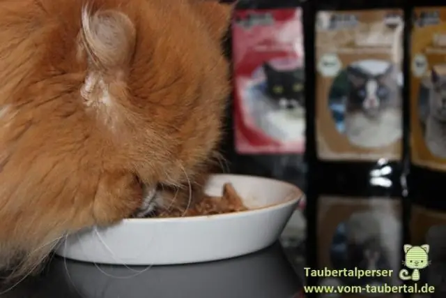 Можно ли использовать наполнитель для кошачьего туалета на горшке с хомяком?