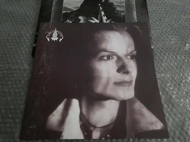 В каком жанре "Морской волк"?