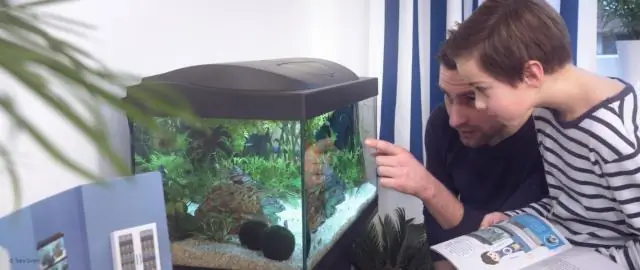 Какая краска безопасна для внутреннего аквариума?