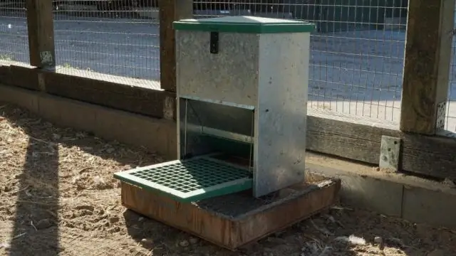 Куда поставить кормушку для кур?