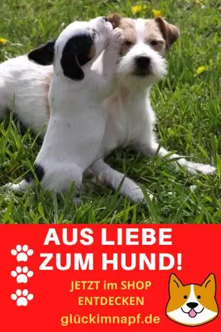 Подходит ли DreamSticks для собак?