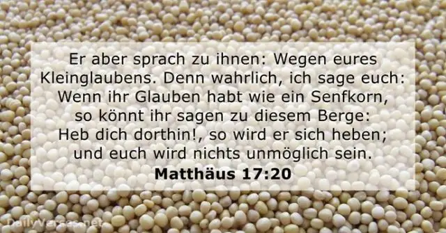 Насколько большим становится сахарный планер?