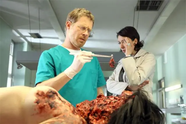 Что является гарантией здоровья щенка?