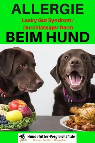 Есть ли у Lazy Dog корм для собак?