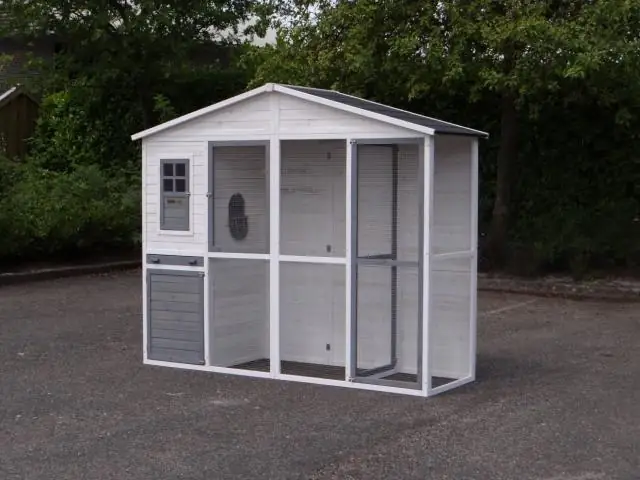 Какие птицы могут вместе жить в вольере?