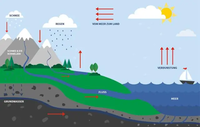 Что такое таурин в свободной форме?