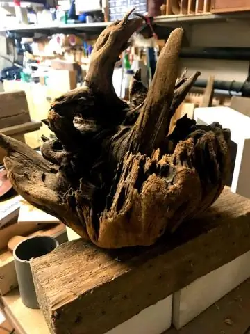 Где можно купить коряги?