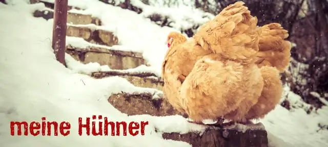 При какой температуре я должен ощипывать курицу?