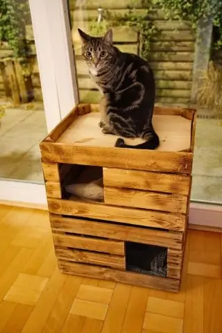 Как сделать кошачью башню?