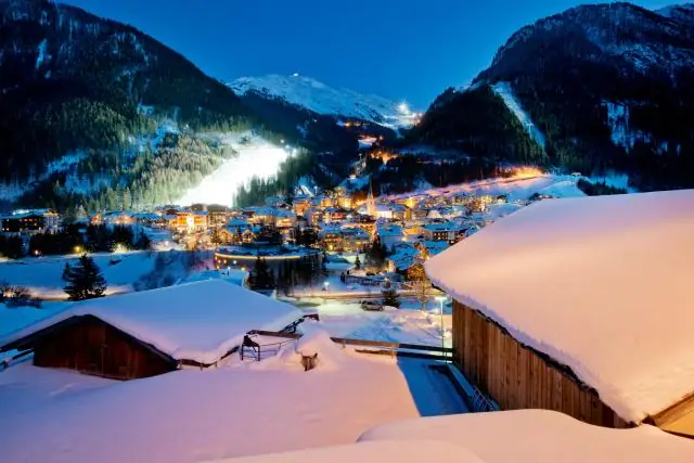 Где колибри спят зимой?