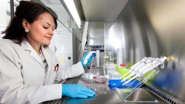 Как динофлагеллаты влияют на окружающую среду?