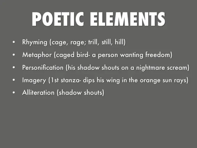 Какая метафора в «Птице в клетке»?