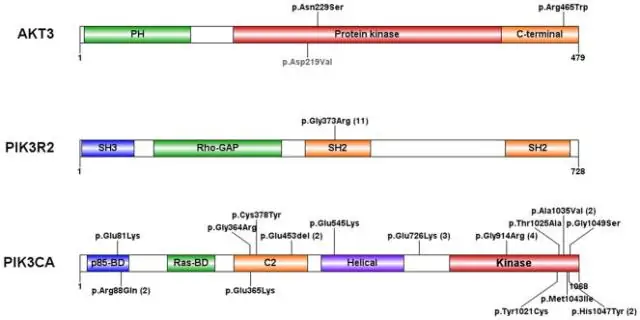 Что такое постзиготический репродуктивный барьер?