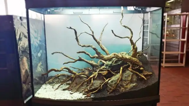 Как использовать прайм в аквариуме?