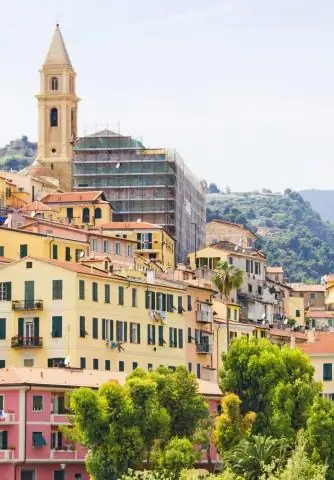 Что делать, если вы увидели в городе койота?