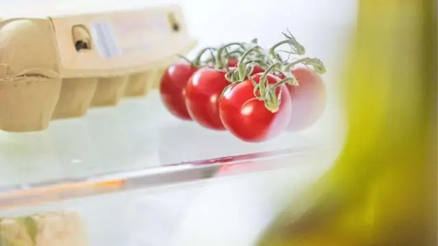 Как мыши сохраняют прохладу летом?