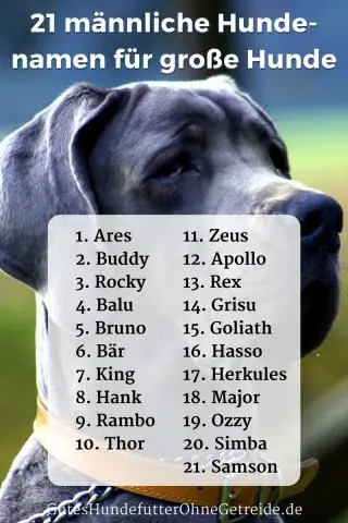 Что означает черная собака духовно?