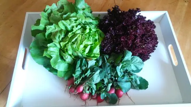 Как избавиться от кроликов в огороде?