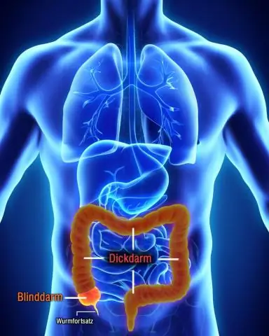 Где находится Seedsman?