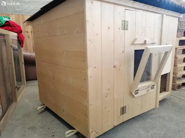 Насколько большой вам нужен курятник для 20 кур?