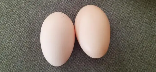 Как долго гусь может оставлять яйца?