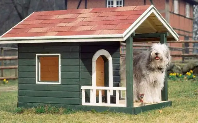 Нужна ли в Великих Пиренеях собачья будка?