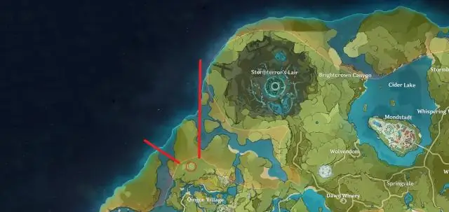 Где ты находишь лилии?