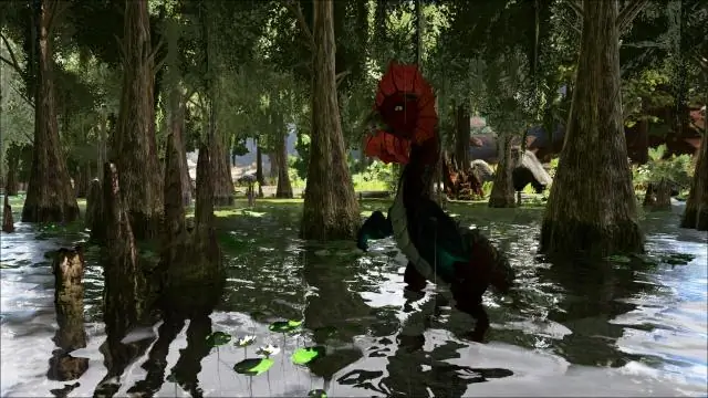 Насколько велик Василий?