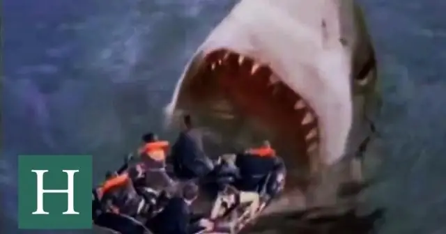 Какие акулы едят плащеносные акулы?